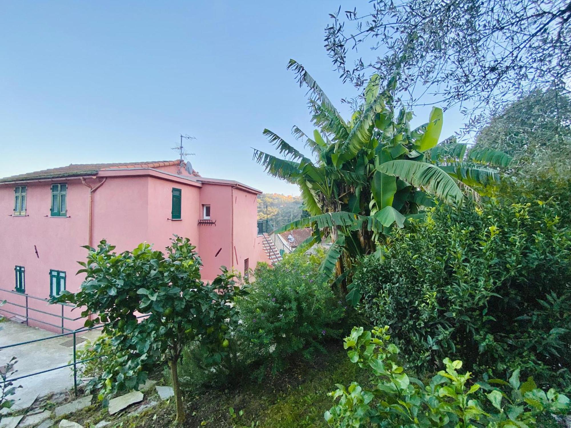 Alla Casa Rosa, Peaceful Apartment Surrounded By Greenery With Free Parking, Wifi & Air Conditioning Ραπάλο Εξωτερικό φωτογραφία